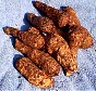 tn_yautiatuber_jpg.jpg (6107 bytes)